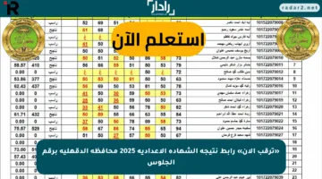 «ترقب الآن» رابط نتيجة الشهادة الإعدادية 2025 محافظة الدقهلية برقم الجلوس